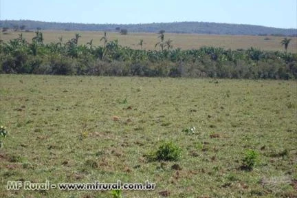 Fazenda no Município de Paranatinga -MT com  26000ha
