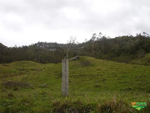 Sítio de 20 hectares em São Pedro de Alcantara - SC