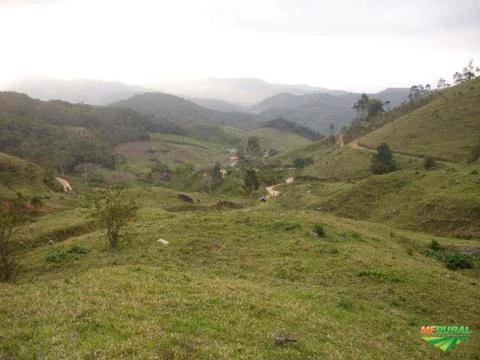 Sítio de 20 hectares em São Pedro de Alcantara - SC