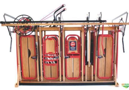 TRONCO AÇORES PREMIUM II