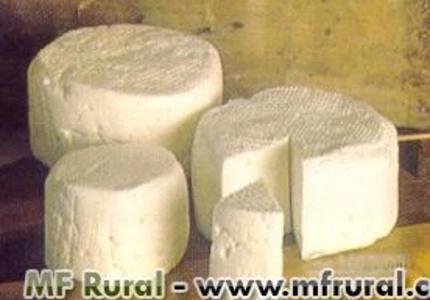 QUEIJOS MUSSARELA E BRANCO