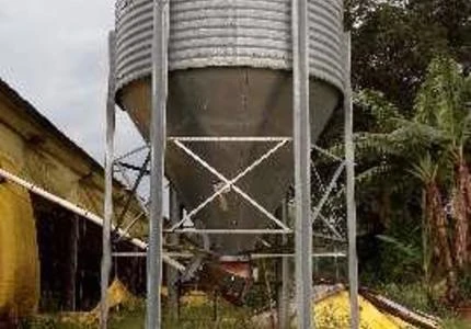 Galpão Aviário