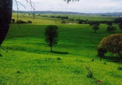 FAZENDA EM ITABERAI