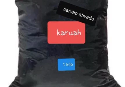Carvão Ecológico