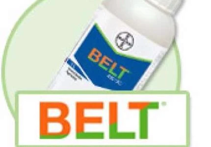 BELT (FLUBENDIAMIDA)