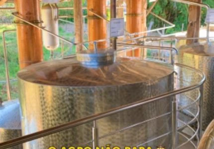 Cachaça artesanal