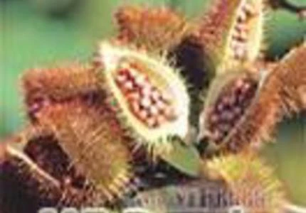 FARELO DE URUCUM