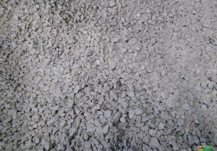 BORRA DE PET CRISTAL MOÍDA
