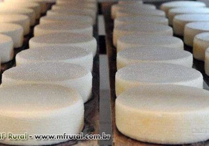 QUEIJO CANASTRA ARTESANAL