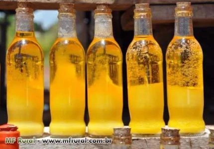 Manteiga de garrafa goiana