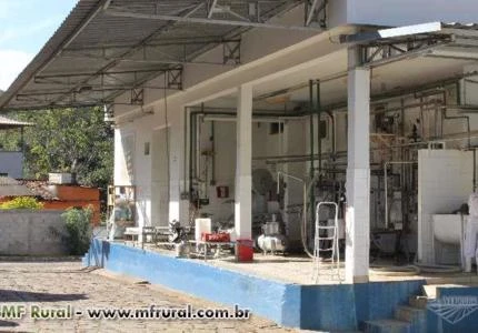 LATICÍNIO PARA ALUGAR