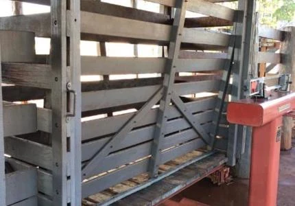 TRONCO E BALANÇA