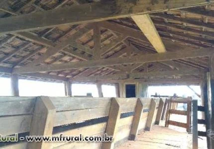 CURRAL DE 1600M2 EM IPÊ