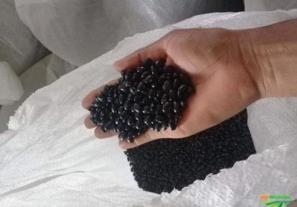 Vendo feijão preto.