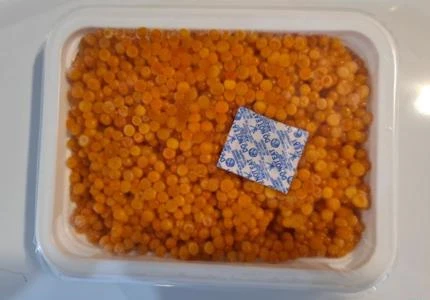 Ovas de Salmão