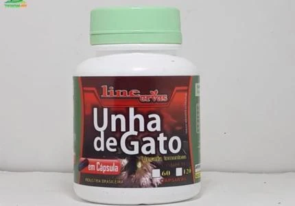 Capsula de Moringa