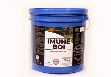 IMUNE-BOI