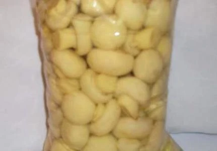 Cogumelo Champignon