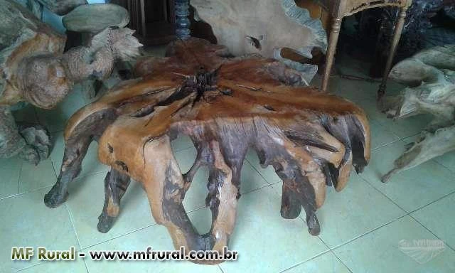 Mesa de centro madeira rustica tronco raiz demolição