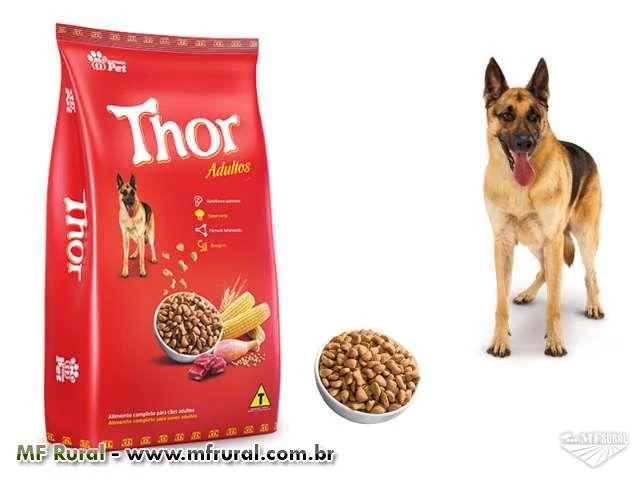 Associação Protetora dos Animais pede Thor vegano e magrinho em