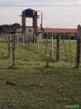 Sitio para agricultura e pecuária em Bofete/SP