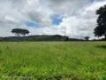FAZENDA PECUÁRIA - 1.400 hectares - AUGUSTO DE LIMA (MG)