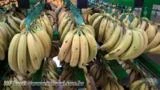 Ganchos para Pendurar Bananas