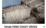 Feno Coast Cross