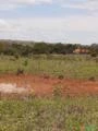 Fazenda para Arrendamento em Santo Antônio do Leste - MT área rural Ref. FA0190
