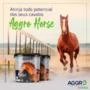 Aggro Horse
