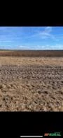 Fazenda a 18 km de Anapurus 4.500 hectares, 3.500 para plantio de soja