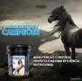 10kg PROMOCIONAL Ganho Massa Nitro Complet Potros Cavalos Horse  (FRETE GRÁTIS)