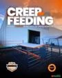 Creep Feeding 3x3 metros