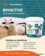 Suplemento Mineral Probiótico BOVINOS (1,5kg) PREV.DIARRÉIA DESMAME BEZERROS - Bovactive Núcleo