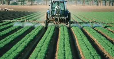 Agricultura na região Sudeste: zona tem papel importante no agronegócio nacional