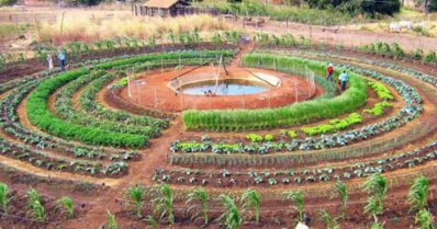 DIA MUNDIAL DA ÁGUA – Sistema Agropecuário Inovador tem água como elemento central