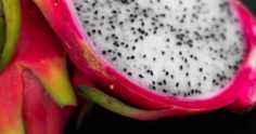 Pitaya: tudo sobre a fruta