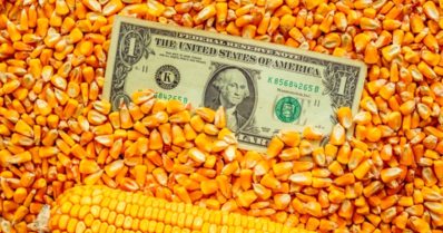 Entenda como o Brasil superou os EUA na exportação de milho