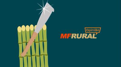 MF Rural Opinião: Coronavírus, Agronegócio e o trabalho do MF Rural durante a quarentena