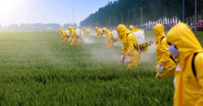 Saiba como o manejo adequado de pesticidas pode diminuir os riscos de acidentes e contaminação