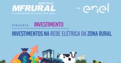 Investimentos na rede elétrica da zona rural