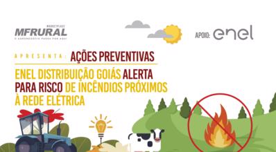 Enel Distribuição Goiás alerta para risco de incêndios próximos à rede elétrica