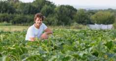 Importância das hortaliças na agricultura familiar