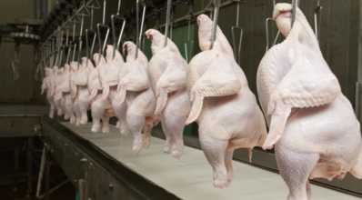 Pela primeira vez, carne de frango lidera consumo mundial