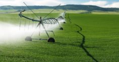 3 dicas para reduzir custos na irrigação de pastagens