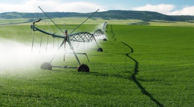 3 dicas para reduzir custos na irrigação de pastagens