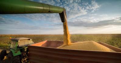 Com supersafra, Brasil é o maior produtor de soja do mundo