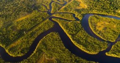 Amazônia não está em chamas: vídeo mostra para o mundo a preservação da floresta