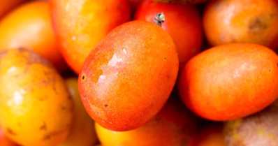 Frutas exóticas do Brasil: conheça essas raridades