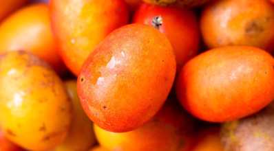 Frutas exóticas do Brasil: conheça essas raridades
